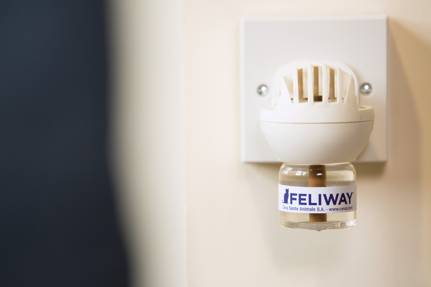 Feliway Classic Duffiser plugged to help keep cat calm