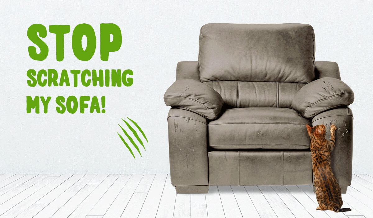 FEL105-Save-Your-Sofa-Banner-Gif-(Mar18) (1)